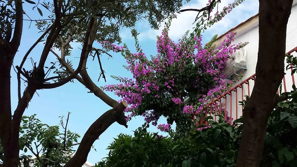 Apartments Put Garbine Trogir